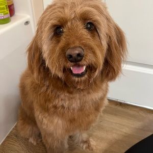 Meet your Posher, Joanna